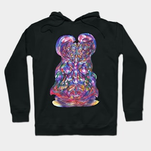 Butterfly love Hoodie